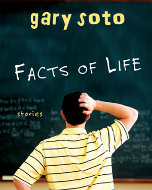 Gary soto summer life essay analysis