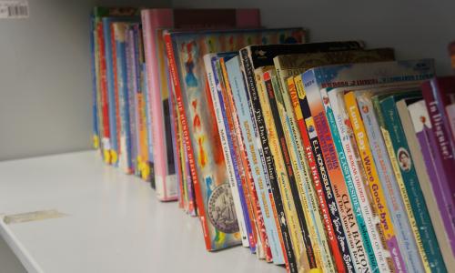 Shelf of children's books