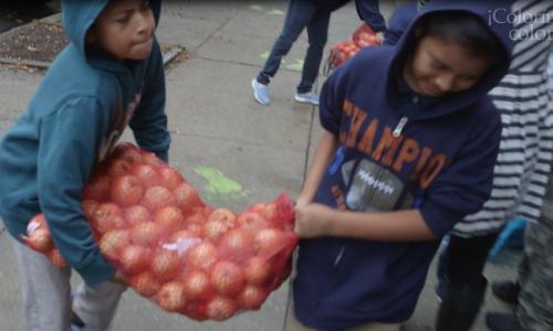 Two students carrying a bag of onions