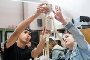 High school students looking at skeleton model in classroom