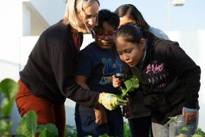 Teacher looking at plant with students