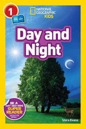 A tree in day and night