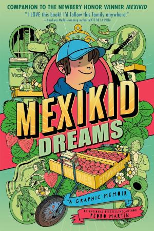 Mexikid Dreams: A Graphic Memoir 