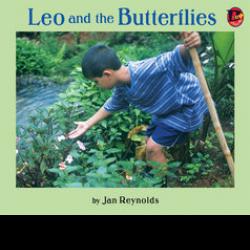 Young boy checks plants