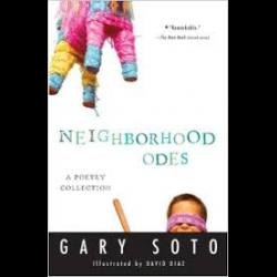 Young boy with a piñata