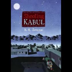 Kabul at night