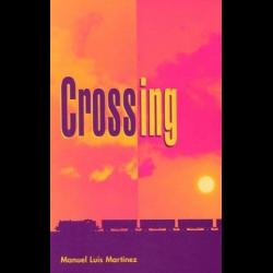 Crossing Train cars against pink and orange grid