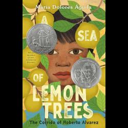 Boy looking out from lemon trees