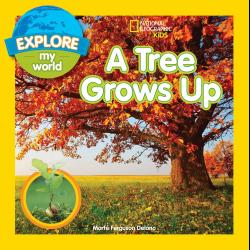 Explore My World A Tree Grows Up Explore My World A Tree Grows Up