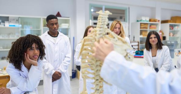 Students studying skeleton