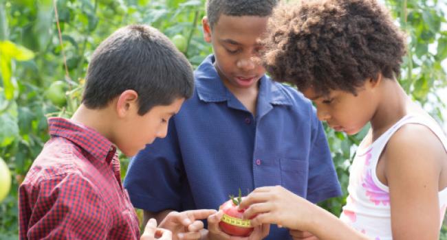 three children measuring the circumference of an apple