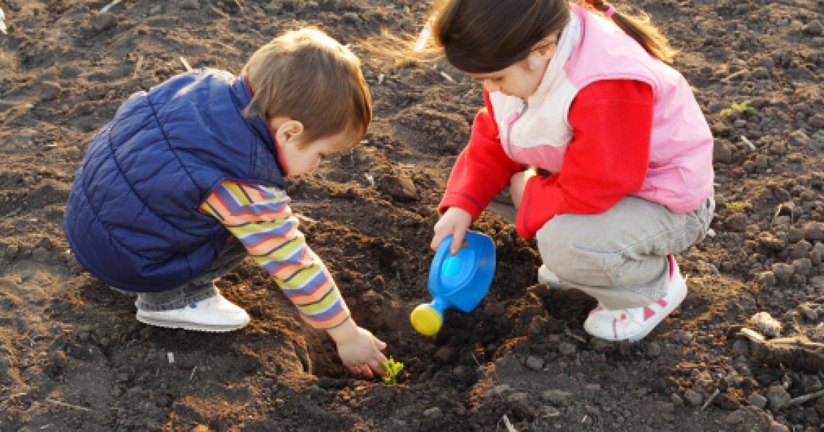 Почему нельзя сеять. Дети садят семена на улице. Дети сажают семена в детском саду. Девушка сажает семена. Ребенок сажает Росток.