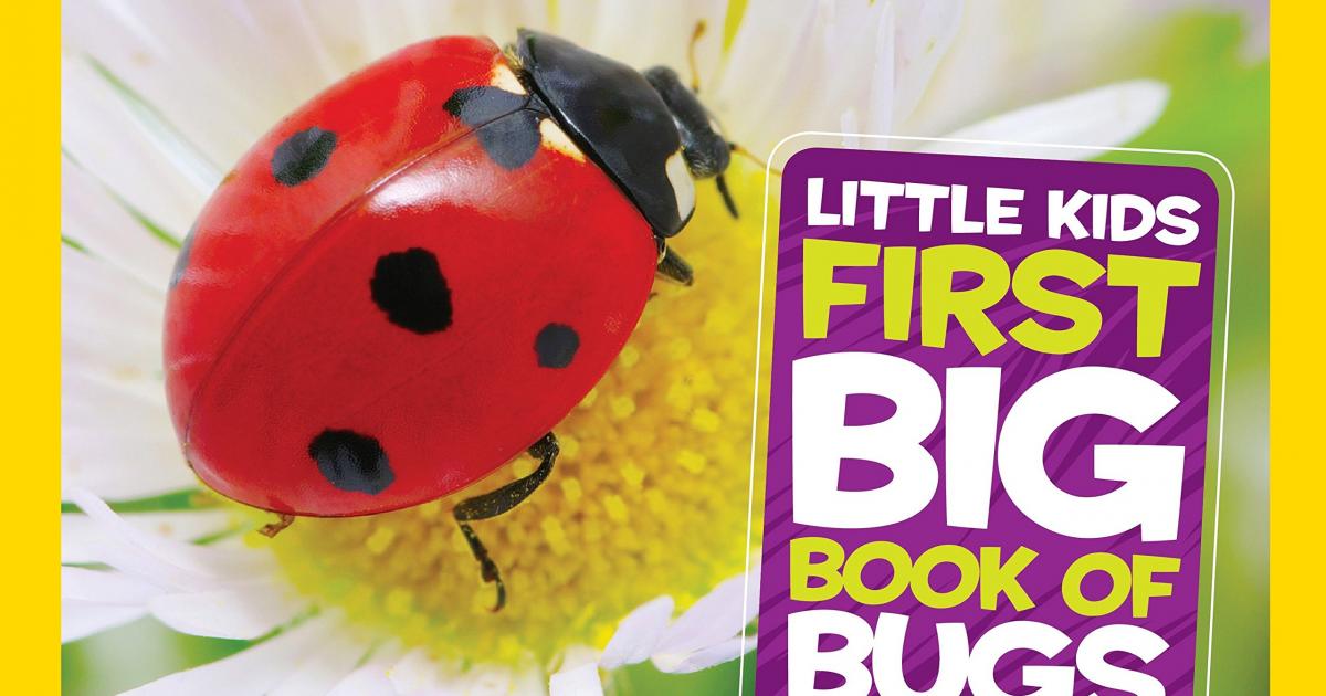 Little Kids First Big Book of Bugs (National Geographic Kids) Colorín  Colorado
